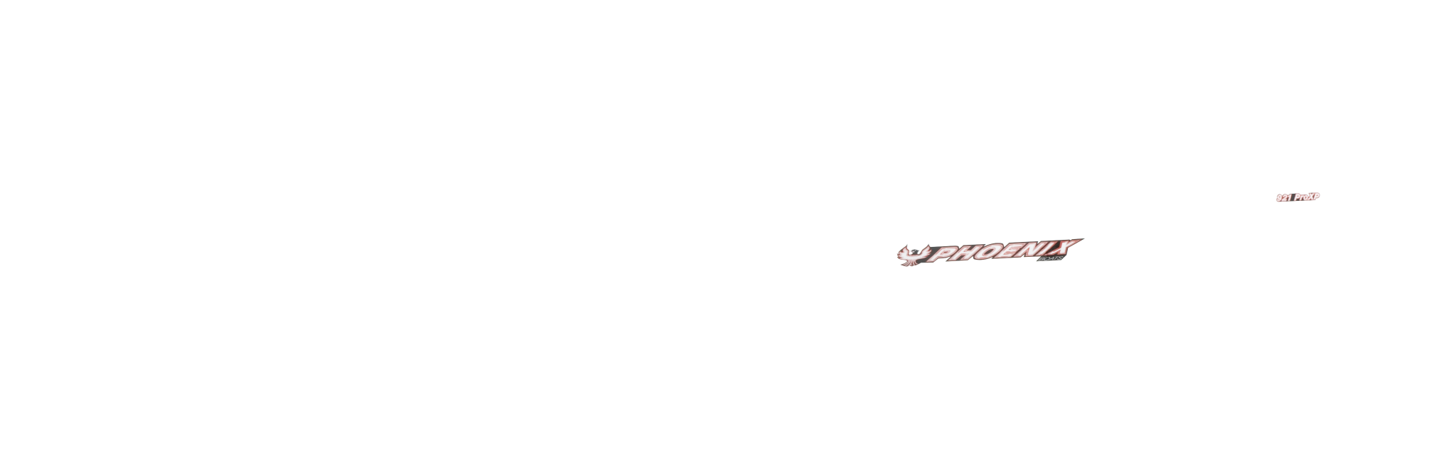 ZXL & Pro - Phoenix Boats